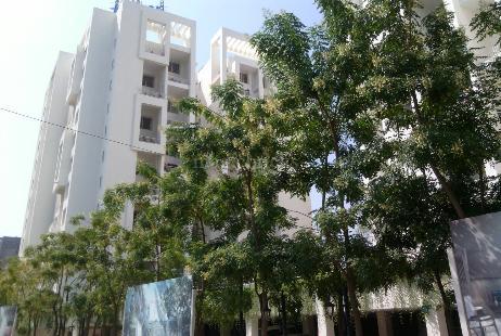 Project Entrance in Rohan Leher