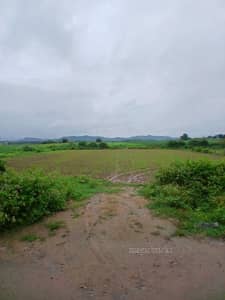  Industrial Land for Rent in 