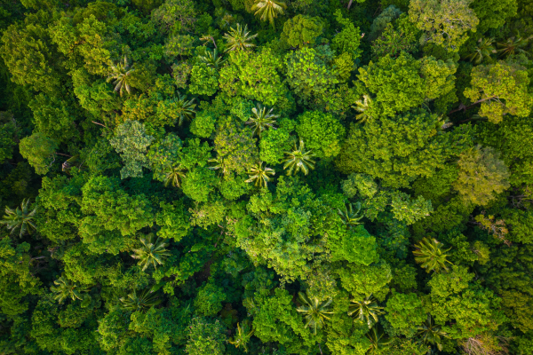 The Global Gateway initiative building partnerships between the European Union and the Latin America and Caribbean regions as they lead the green and just transition.