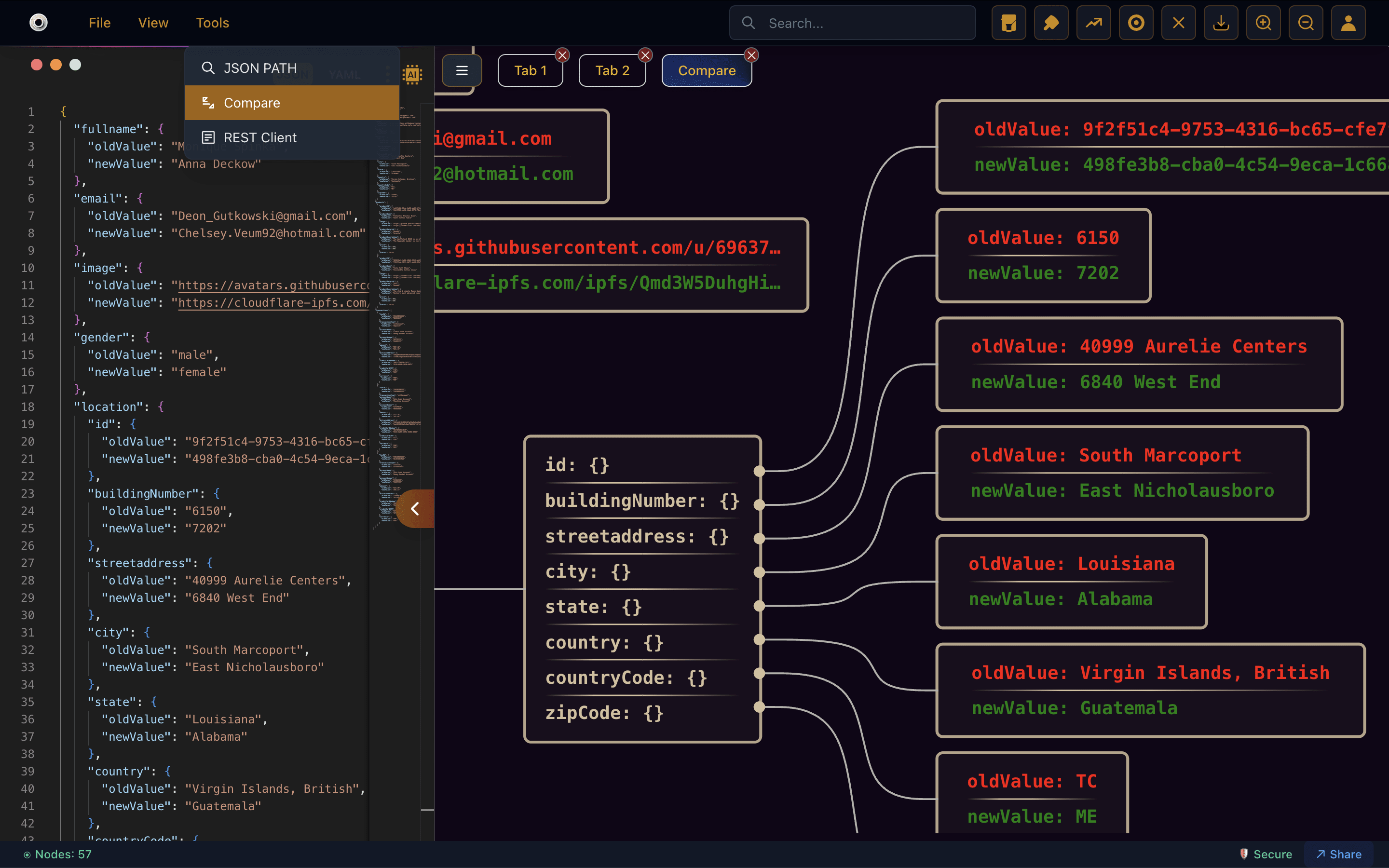 JSON graph Visualizer
