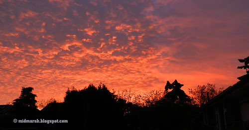 Sunset 2047