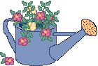blume-0110