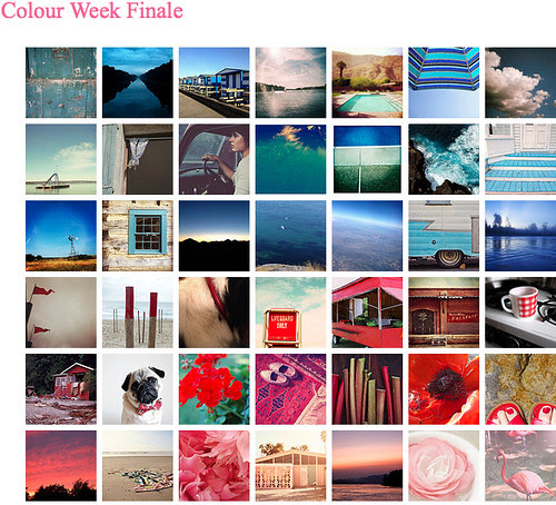 poppytalk roundup