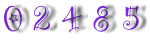 Free Web Site Counter