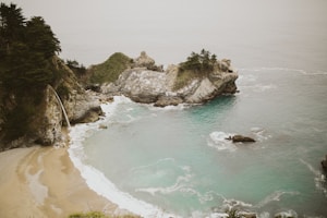Gallery picture #1