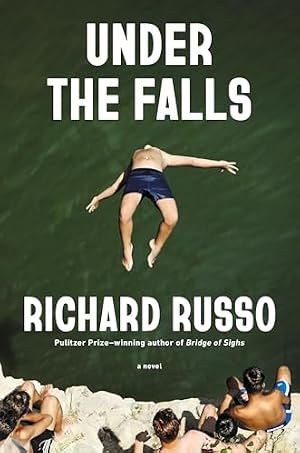 Book cover Under the Falls: A Novel