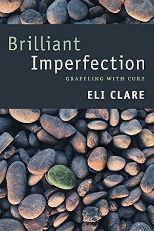 Book cover Brilliant Imperfection: Grappling with Cure