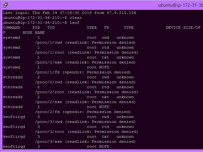 How to list all open files on the system