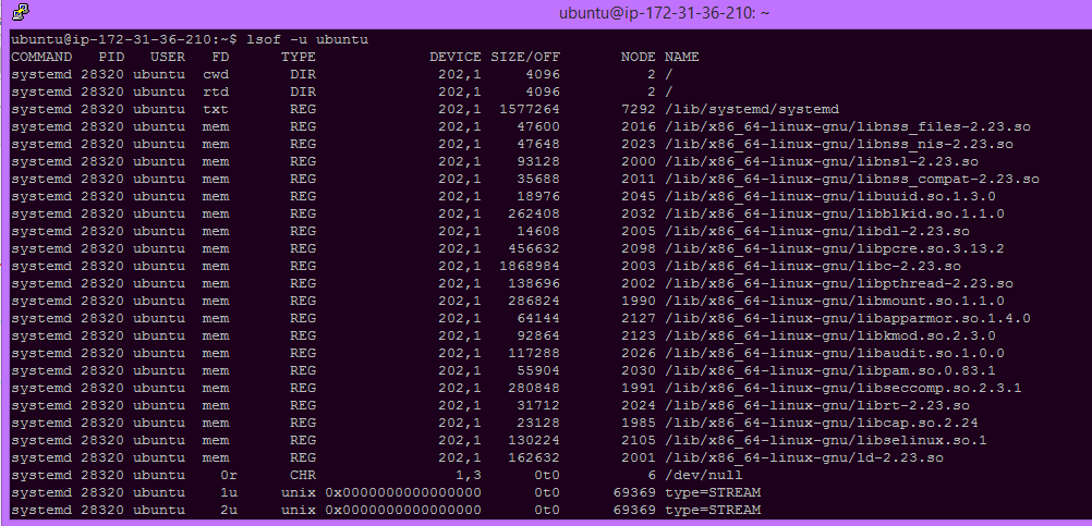 List all files opened by a user