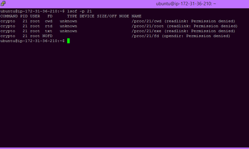 List all open files that are opened by a particular process ID