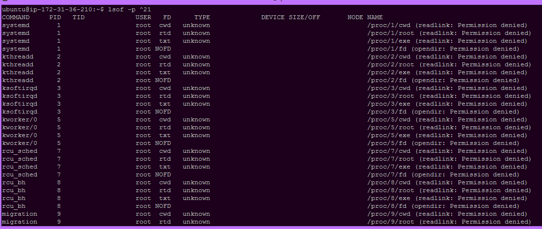 Files opened by all other PID