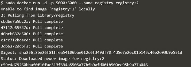 download private repositry