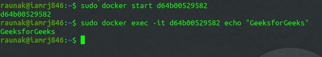 docker container exec