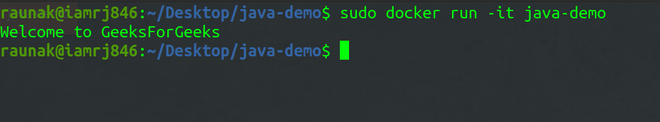 Running the Docker Container