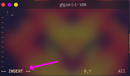 vim window