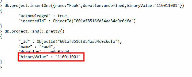 BinaryData