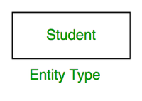 Entity Type