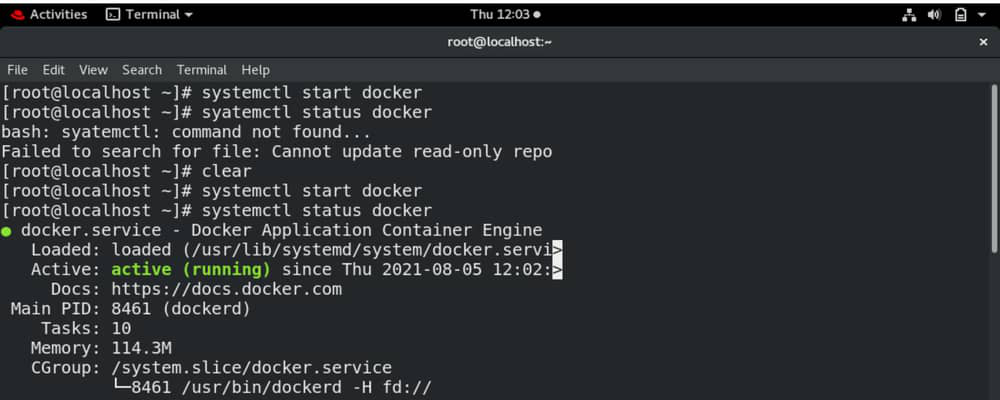 Starting the Docker Service