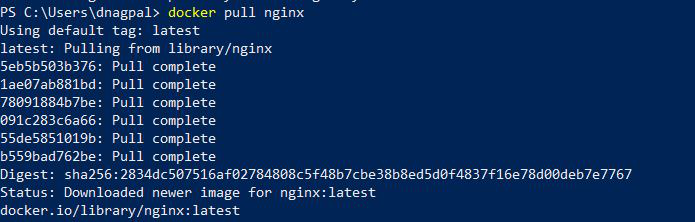 Pull nginx 