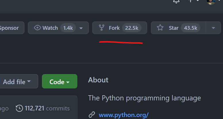 Fork Repo 