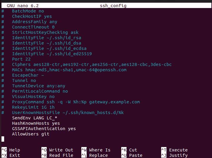 git-user-connecting-to-server