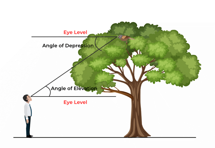 Terminologies of Height and Distances
