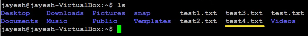 test4.txt successfully copied