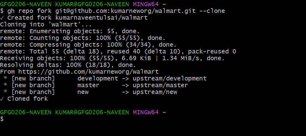 gh repo fork 