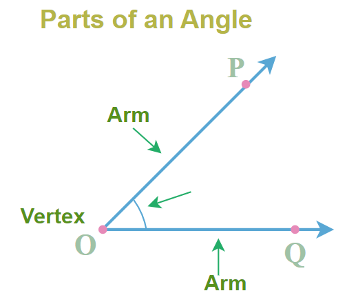 Parts of an Angle