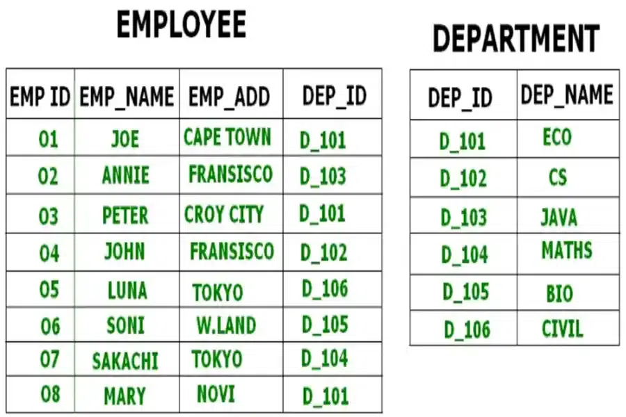 Cluster File Organization
