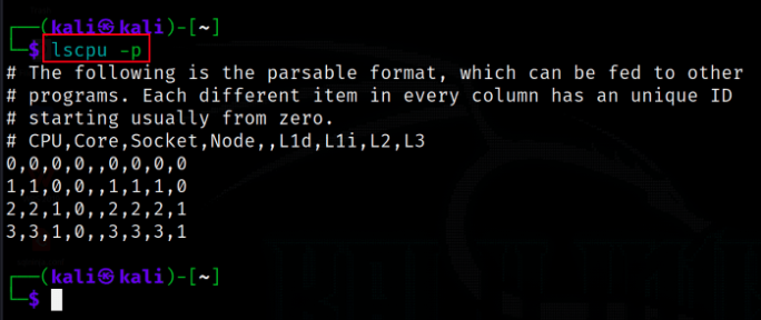 Displaying CPU information in parse format