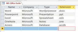 MS Access