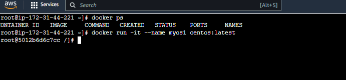mydocker interactive container
