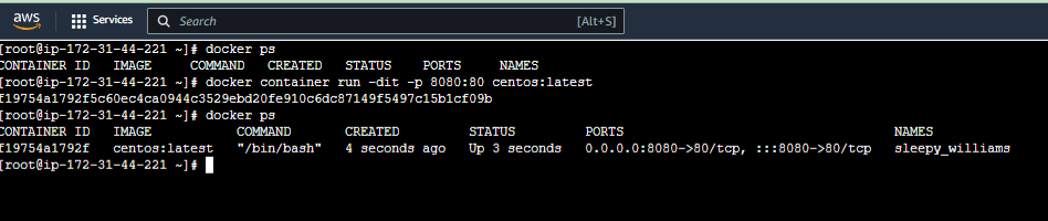 docker-port