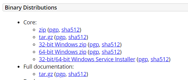 Downloading binary app