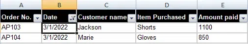 How to Add, Use and Remove Filter in Excel