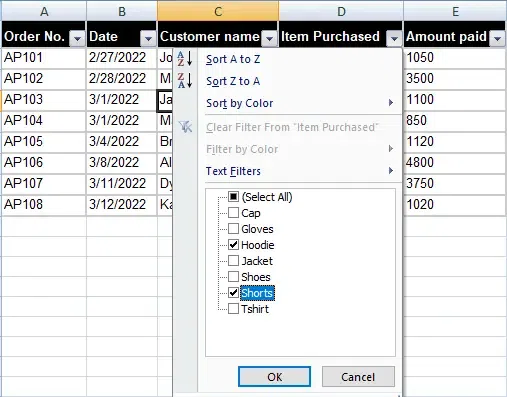How to Add, Use and Remove Filter in Excel