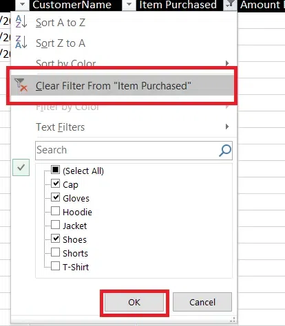 How to Add, Use and Remove Filter in Excel