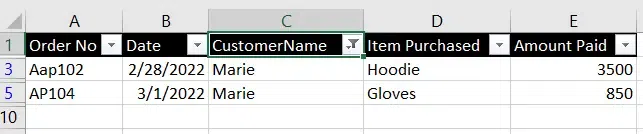 How to Add, Use and Remove Filter in Excel