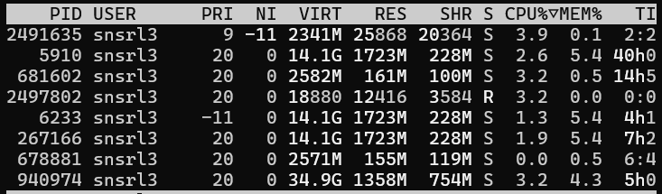 htop -no-color