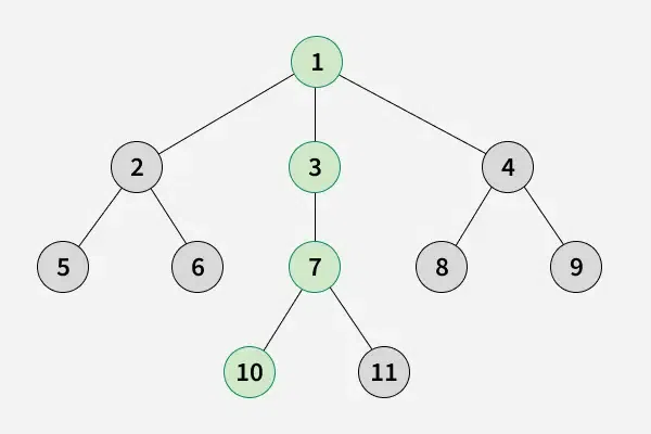 Maximum-height-of-Tree-Example-4