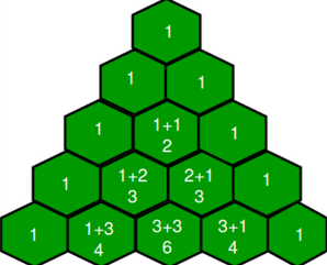 pascal-300x241