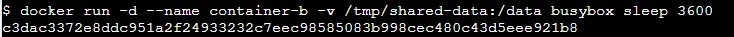 Run-Container-B-with-Same-Bind-Mount