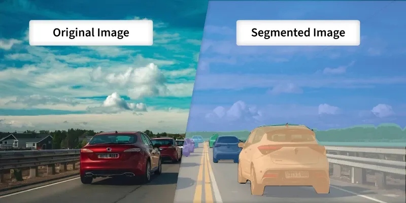 segmentation