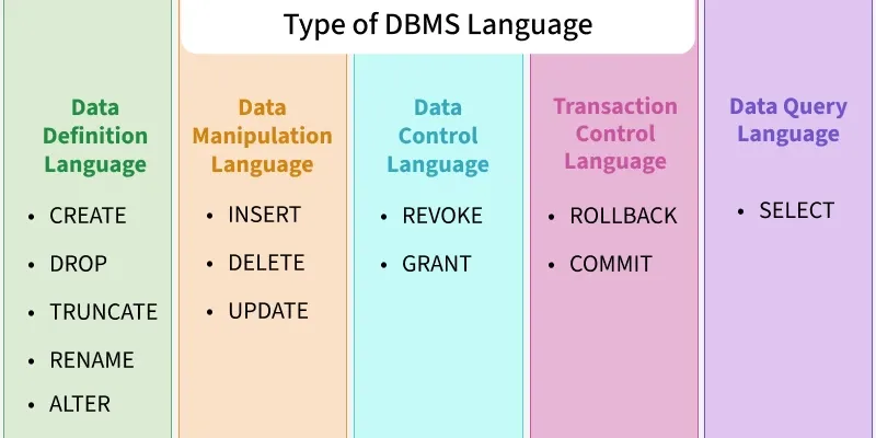 type_of_dbms_language
