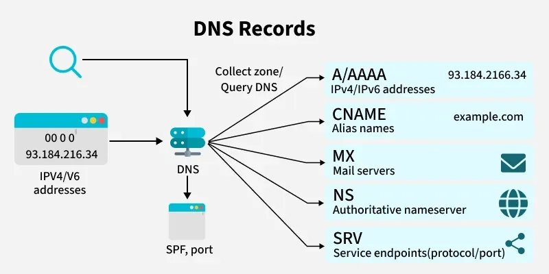 dns_records