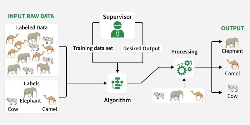 supervised_learning