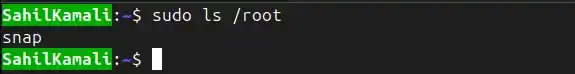 sudo-ls-root