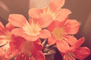 article_image