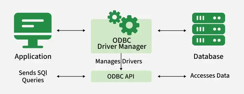 odbc